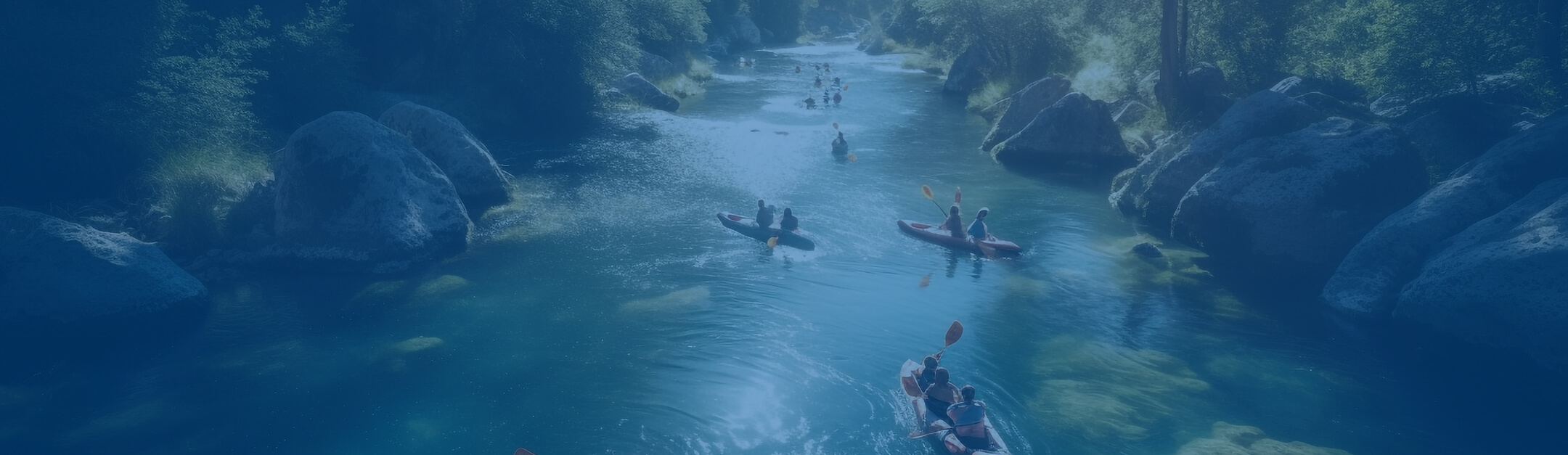 about health energy longevity